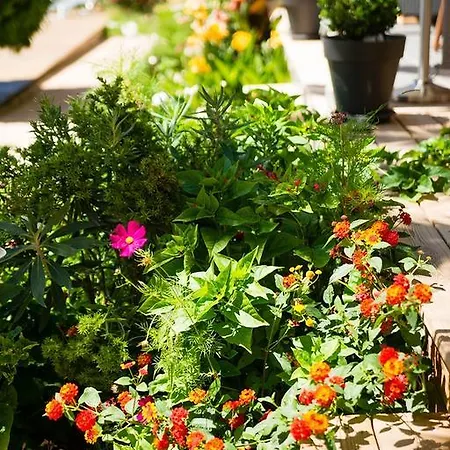 Bed and breakfast I Casilari 3*