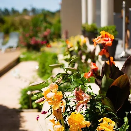 Bed & Breakfast I Casilari Serra-di-Ferro (Corsica)