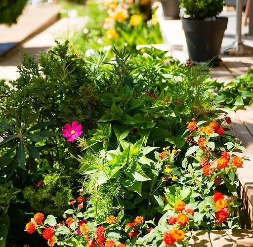 Bed & Breakfast I Casilari 3*