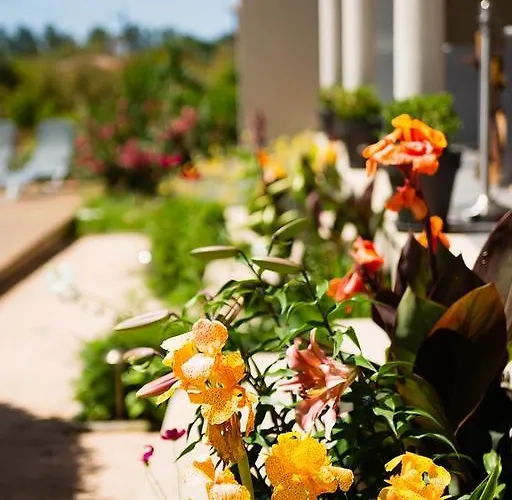 Bed & Breakfast I Casilari Serra di Ferro