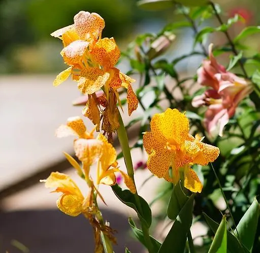 Bed & Breakfast I Casilari 3*